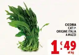 Deco Supermercati Cicoria offerta