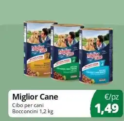 Acqua & Sapone Miglior Cane offerta