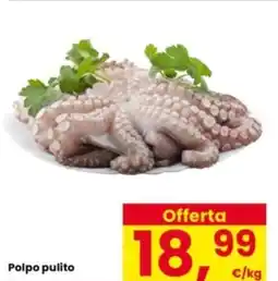 Interspar Polpo pulito offerta