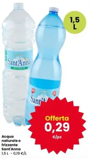 Acqua naturale o frizzante Sant'Anna