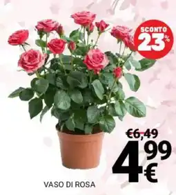 Supermercati Gulliver Vaso di rosa offerta