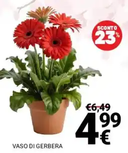 Supermercati Gulliver Vaso di gerbera offerta