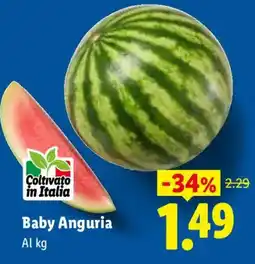 Lidl Baby Anguria offerta