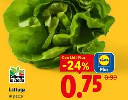 Lidl Lattuga offerta