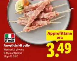Lidl Arrosticini di pollo Marinati al ginepro offerta