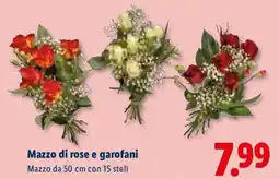 Lidl Mazzo di rose e garofani offerta