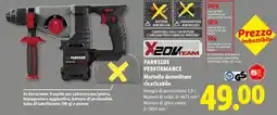Lidl PARKSIDE PERFORMANCE Martello demolitore ricaricabile offerta
