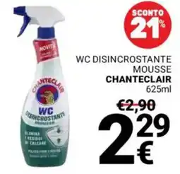 Supermercati Gulliver Wc disincrostante mousse CHANTECLAIR offerta