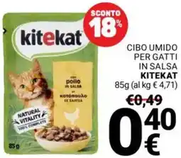 Supermercati Gulliver Cibo umido per gatti in salsa KITEKAT offerta