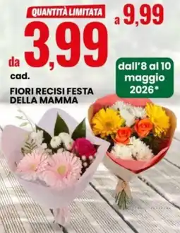 Eurospin Fiori recisi festa della mamma offerta