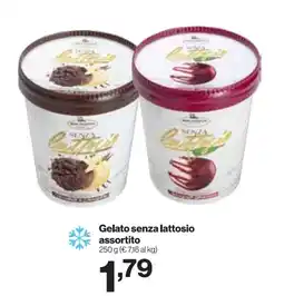In'S Mercato Gelato senza lattosio offerta