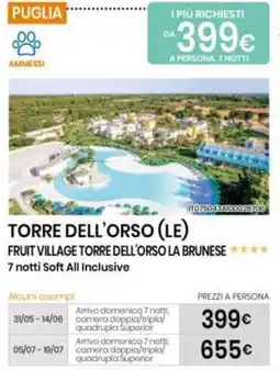 Eurospin Torre dell'orso (LE) fruit village torre dell'orso la brunese offerta