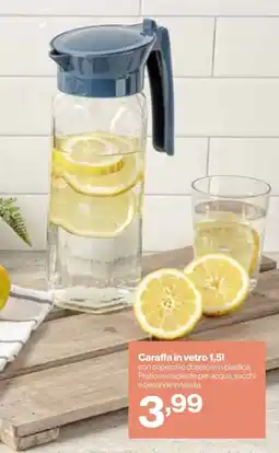 In'S Mercato Caraffa in vetro offerta