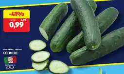 ALDI I colori del sapore cetrioli offerta