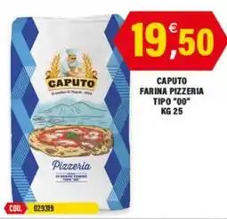 Adhoc Caputo farina pizzeria tipo "00" offerta