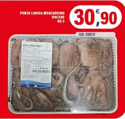 Adhoc Punta linosa moscardino 100/200 offerta
