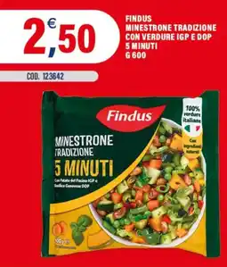 Adhoc Findus minestrone tradizione con verdure igp e dop 5 minuti offerta