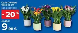 Carrefour Iper Calla Colorata Vaso 13 cm con coprivaso offerta