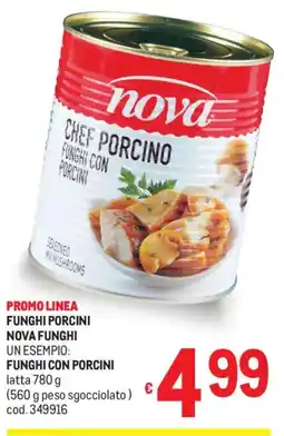 Metro Funghi porcini nova funghi, funghi con porcini offerta