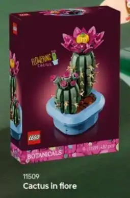 Comet Lego Cactus in fiore offerta
