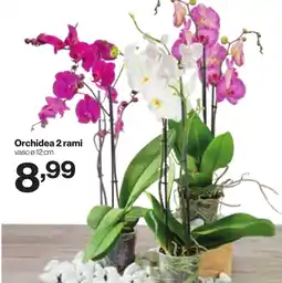 In'S Mercato Orchidea 2 rami offerta