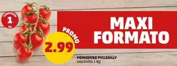 PENNY Pomodoro piccadilly offerta