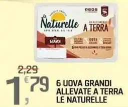 A&O 6 uova grandi allevate a terra le naturelle offerta