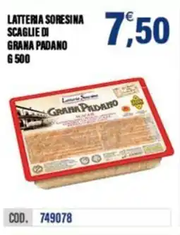 Adhoc Latteria soresina scaglie di grana padano offerta