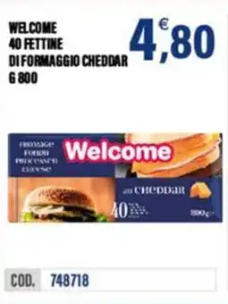 Adhoc Welcome 40 fettine di formaggio cheddar offerta