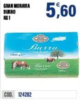 Adhoc Gran moravia burro offerta