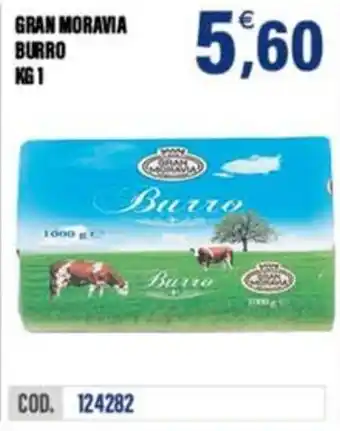 Adhoc Gran moravia burro offerta