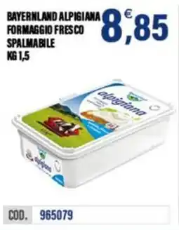 Adhoc Bayernland alpigiana formaggio fresco spalmabile offerta