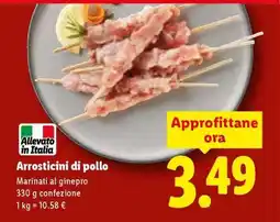 Lidl Arrosticini di Pollo offerta