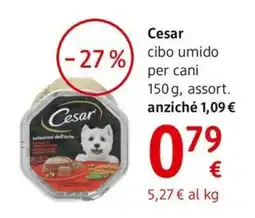 dm drogerie markt Cesar cibo umido per cani offerta