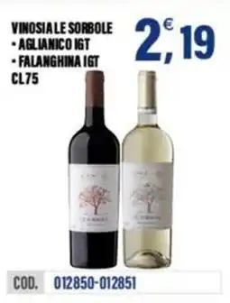 Adhoc Vinosiale sorbole, aglianico igt, falanghina igt offerta