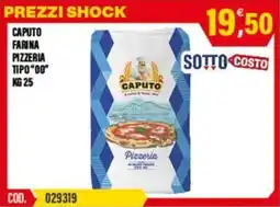 Adhoc Caputo farina pizzeria tipo"00" offerta