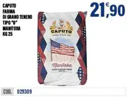 Adhoc Caputo farina di grano tenero tipo"0" manitoba offerta