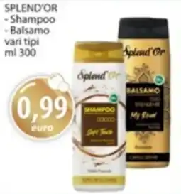 Acqua & Sapone SPLEND'OR Shampoo, Balsamo offerta