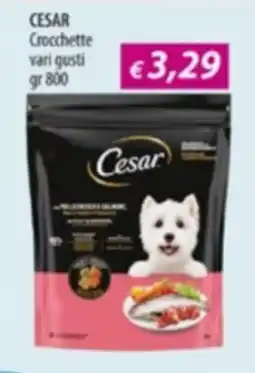 Acqua & Sapone CESAR Crocchette offerta