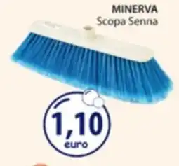 Acqua & Sapone MINERVA Scopa Senna offerta