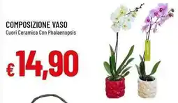 Galassia Composizione vaso offerta