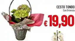 Galassia Cesto tondo con ortensia offerta