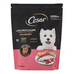 Spazio Conad CROCCANTINI CESAR offerta