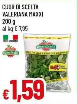 Galassia Cuor di scelta valeriana maxxi offerta
