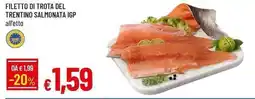 Galassia Filetto di trota del trentino salmonata IGP offerta