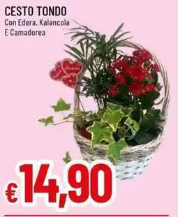 Galassia Cesto tondo offerta