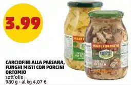 PENNY Carciofini alla paesana, funghi misti con porcini ORTOMIO offerta