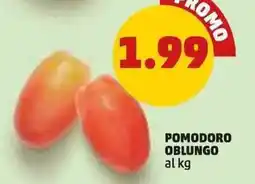 PENNY Pomodoro oblungo offerta