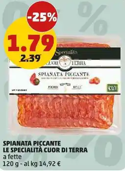 PENNY Spianata piccante le specialità cuor di terra offerta