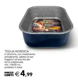 Esselunga TEGLIA NORDICA offerta